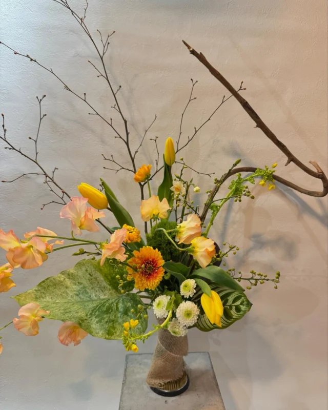 ドライフラワー アレンジメント S | Soshin Flower